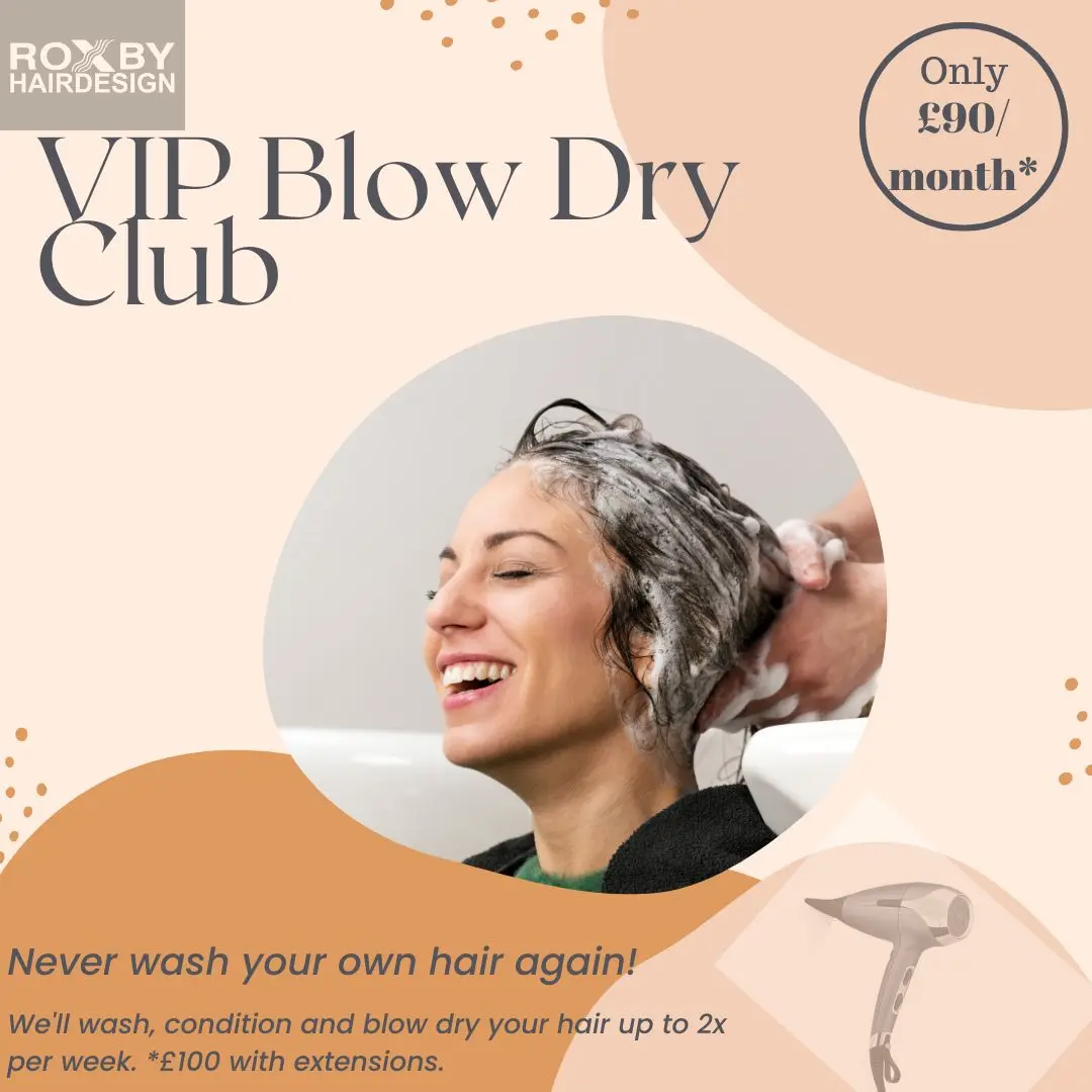 VIP Blow Dry Club